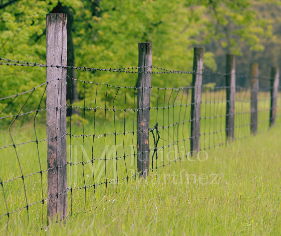 derecho de accesión en México